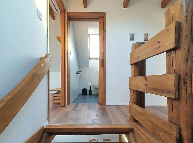 Vinczeller Haz * 保洛兹瑙克